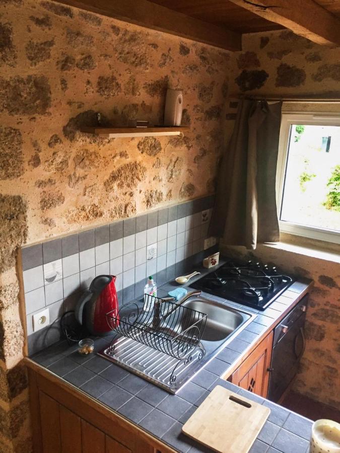 Bed and Breakfast Demeure Du Castel Les Chatelliers-Chateaumur Экстерьер фото